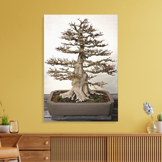 Maple Bonsai Tree Leinwanddruck (Insitu (Wohnzimmer))