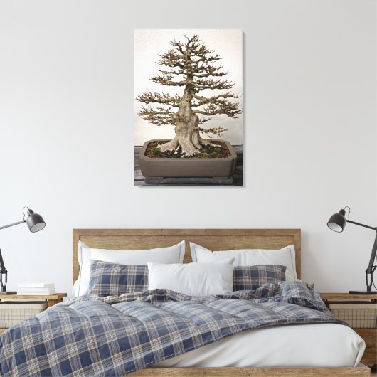 Maple Bonsai Tree Leinwanddruck (Insitu (Schlafzimmer))