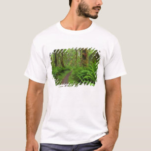 Maple Glade Pfad, mit Farnen und Moos bedeckt T-Shirt