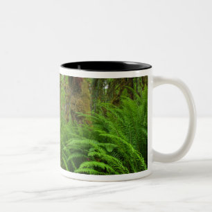Maple Glade Pfad, mit Farnen und Moos bedeckt Zweifarbige Tasse