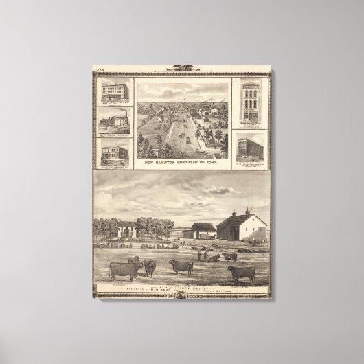 Maple Grove Herd, Cedar Co New Hampton Leinwanddruck (Vorderseite)