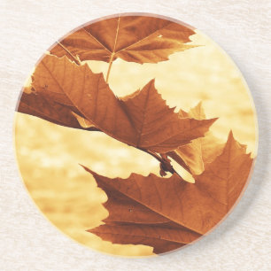 Maple Leaf Achterbahn Sandstein Untersetzer