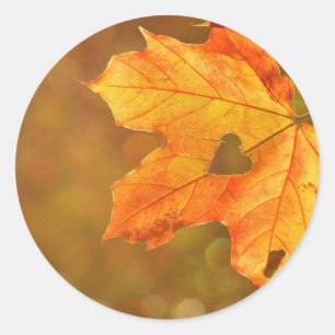 Maple Leaf Heart Runder Aufkleber