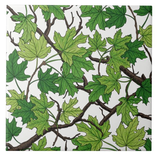Maple leaves on white fliese (Vorderseite)