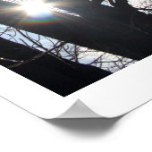 Maple Sky Poster (Ecke)