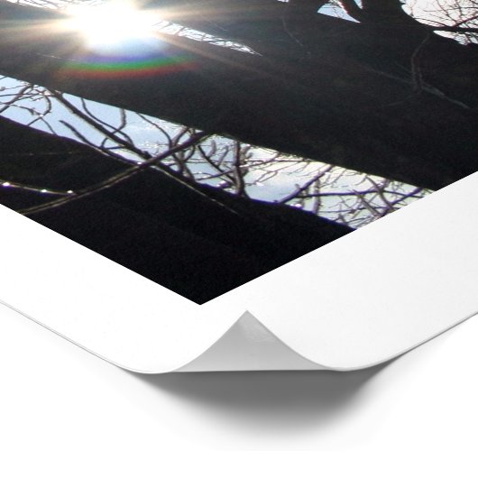 Maple Sky Poster (Ecke)