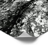 Maple Tree Inkblot Fotografie Poster (Ecke)