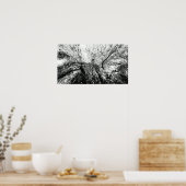 Maple Tree Inkblot Fotografie Poster (Küche)