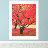 Maple Trees Canvas Print Leinwanddruck (Insitu (Holzboden))