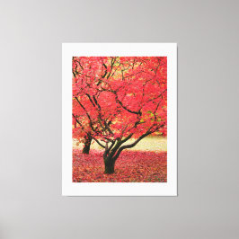 Maple Trees Canvas Print Leinwanddruck