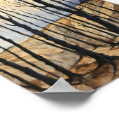 Maple Woods Poster (Ecke)