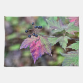 Mapleleaf Viburnum Herbstleaves und Berries Handtuch (Horizontal)