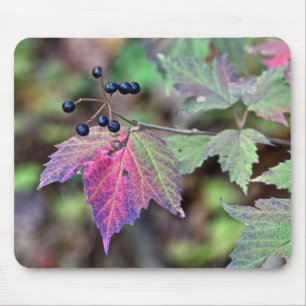 Mapleleaf Viburnum Herbstleaves und Berries Mousepad