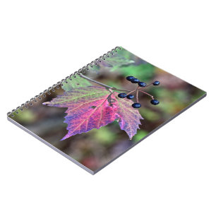 Mapleleaf Viburnum Herbstleaves und Berries Notizblock