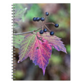 Mapleleaf Viburnum Herbstleaves und Berries Notizblock (Vorderseite)