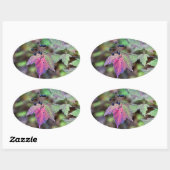 Mapleleaf Viburnum Herbstleaves und Berries Ovaler Aufkleber (Blatt)