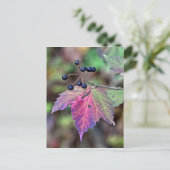 Mapleleaf Viburnum Herbstleaves und Berries Postkarte (Stehend Vorderseite)