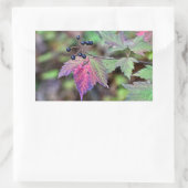 Mapleleaf Viburnum Herbstleaves und Berries Rechteckiger Aufkleber (Tasche)