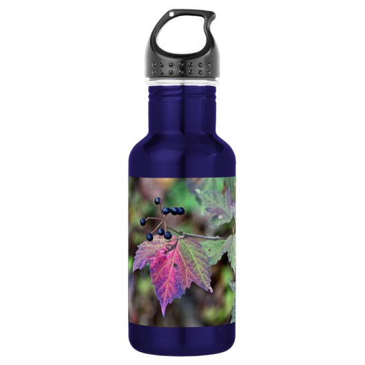 Mapleleaf Viburnum Herbstleaves und Berries Trinkflasche (Vorderseite)