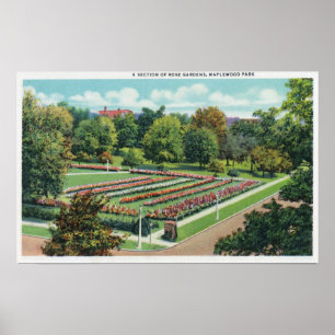 Maplewood Park Rose Gartenblick Poster