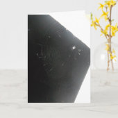 "Maplewood Spider" Get Well Card Karte (Gelbe Blume)