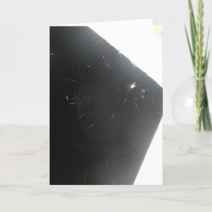 "Maplewood Spider" Gute Besserung Karte