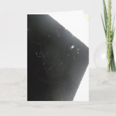 "Maplewood Spider" Hallowe’en card Karte (Vorderseite)