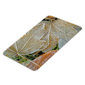 Mapselmagnet, gefroren magnet (Linke Seite)