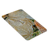 Mapselmagnet, gefroren magnet (Rechte Seite)