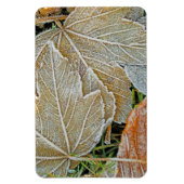 Mapselmagnet, gefroren magnet (Vertikal)