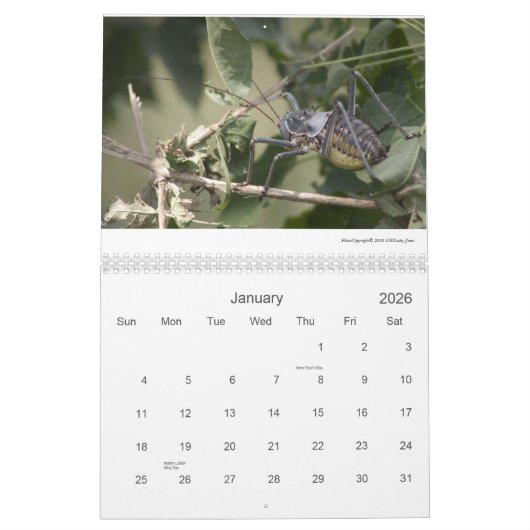 Mapungubwe NP RSA wild lebende Tiere 2011/12 Kalender (Jan 2026)