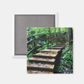 Maquoketa Höhlen Staat Parktreppe Magnet (Vorderseite/Rückseite)