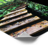 Maquoketa Höhlen Staat Parktreppe Poster (Ecke)