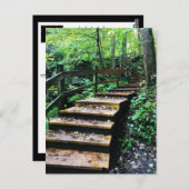 Maquoketa Höhlen Staat Parktreppe Postkarte (Vorne/Hinten)