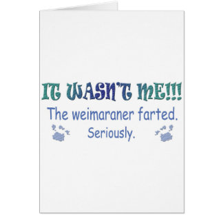 mar112015fartWeimaraner.jpg