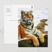 - Mara Postkarte (Vorne/Hinten)