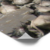 Mara Wildbee Poster (Ecke)