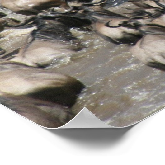 Mara Wildbeest Poster (Ecke)