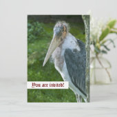 Marabou Custom Einladung (Stehend Vorderseite)