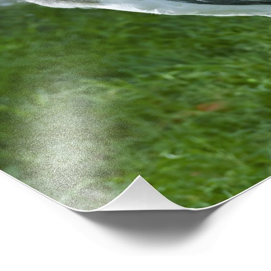 Marabou Fotodruck (Ecke)