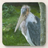 Marabou Getränkeuntersetzer (Vorderseite)