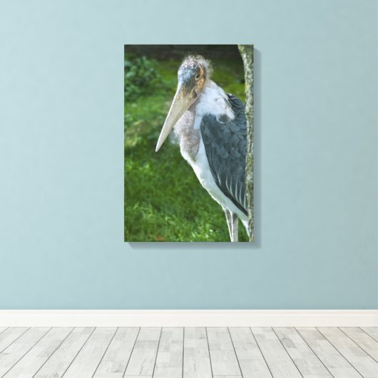 Marabou Leinwanddruck (Insitu (Holzboden))