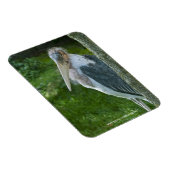 Marabou Magnet (Rechte Seite)