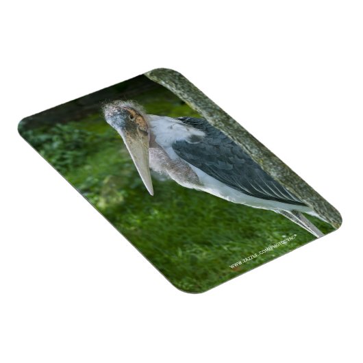 Marabou Magnet (Rechte Seite)