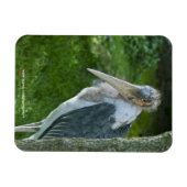 Marabou Magnet (Horizontal)