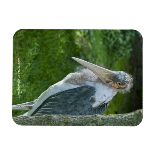 Marabou Magnet (Horizontal)