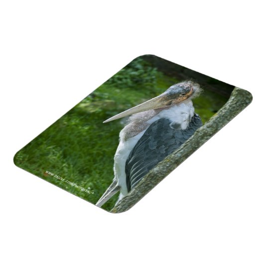 Marabou Magnet (Linke Seite)