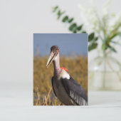 Marabou Postkarte (Stehend Vorderseite)