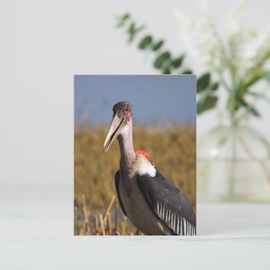 Marabou Postkarte (Stehend Vorderseite)