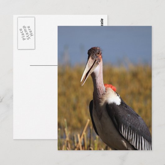 Marabou Postkarte (Vorne/Hinten)